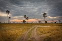 099 Zimbabwe, Hwange NP